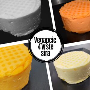 Vegapčić sir 4 vrste